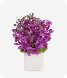 Phát triển bền vững 01