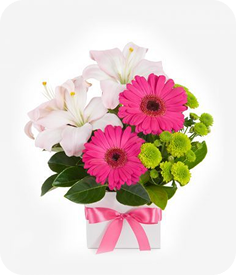 Phát triển bền vững 01